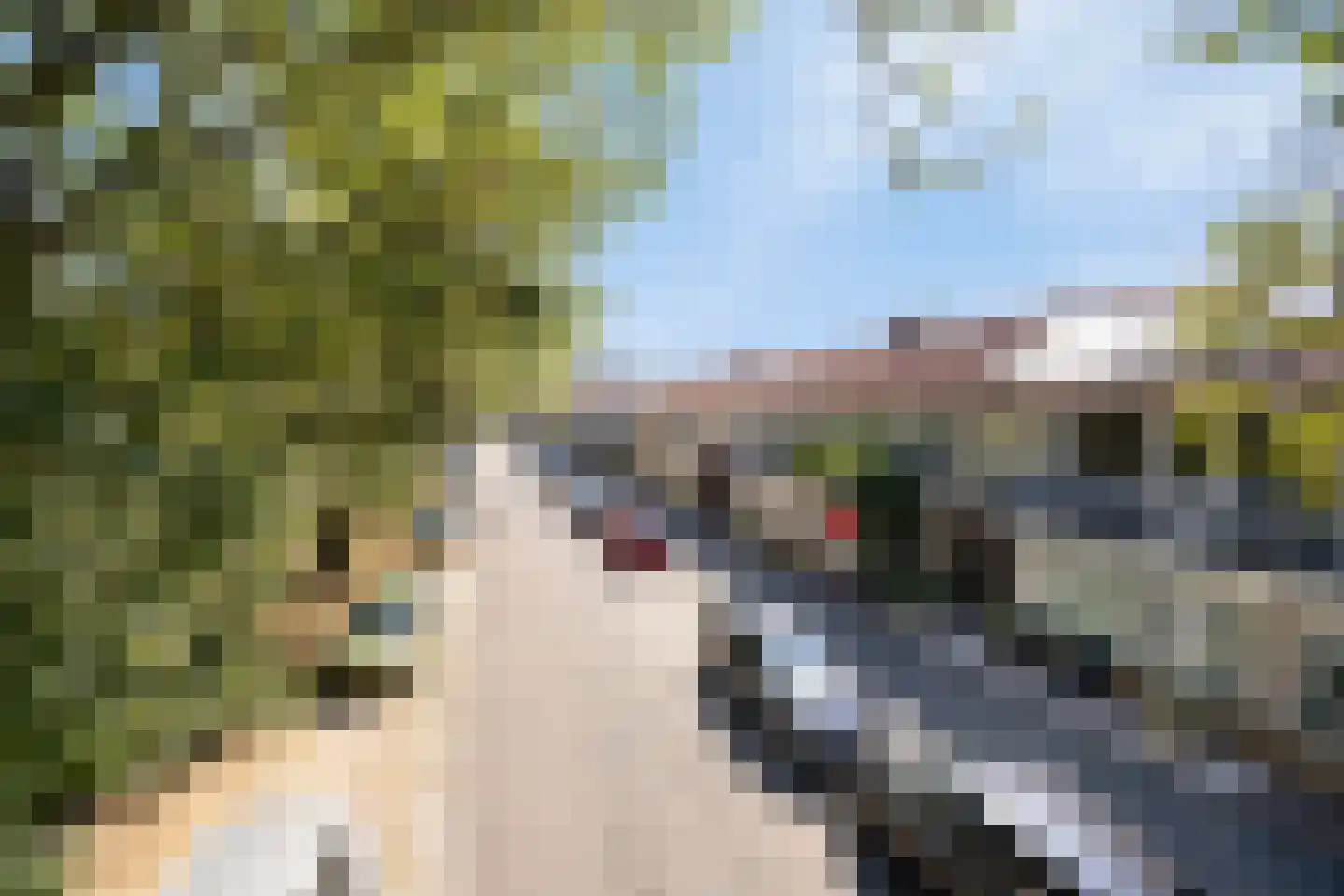 IJsselsingel 34 's-Hertogenbosch thumbnail 33