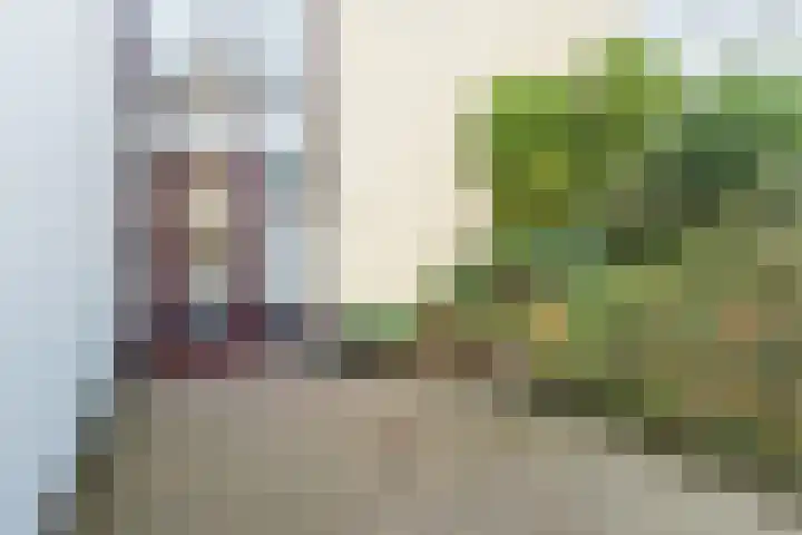IJsselsingel 39 Rheden thumbnail 4