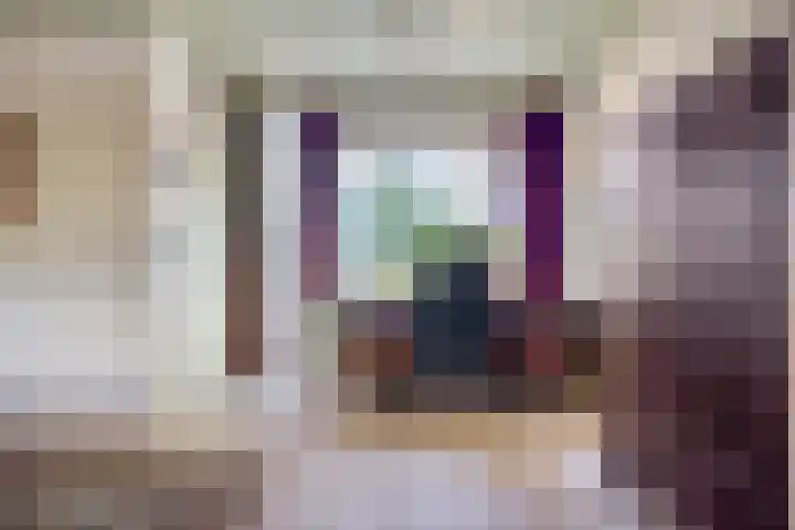 IJsselsingel 54 Rheden thumbnail 10