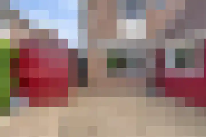 IJsselsingel 54 Rheden thumbnail 15