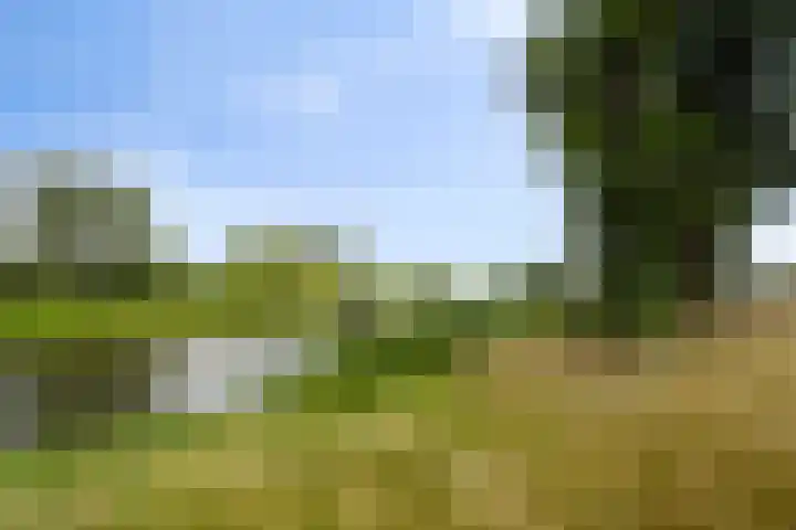 IJsselsingel 54 Rheden thumbnail 17