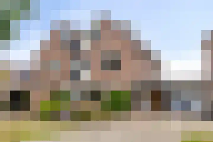 IJsselsingel 54 Rheden thumbnail 4