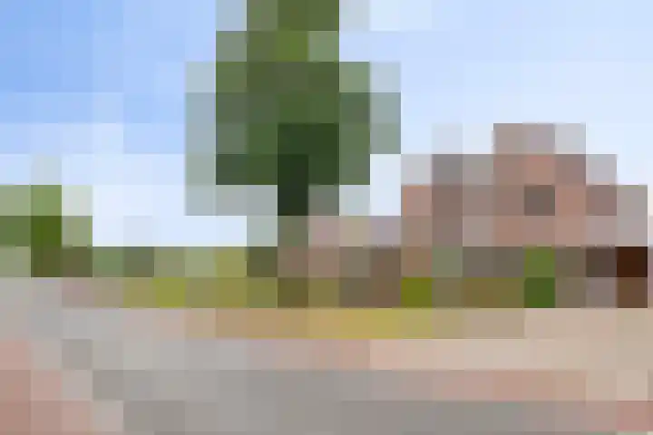 IJsselsingel 54 Rheden thumbnail 5