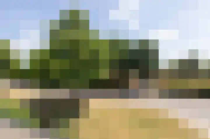 IJsselsingel 98 Rheden thumbnail 33
