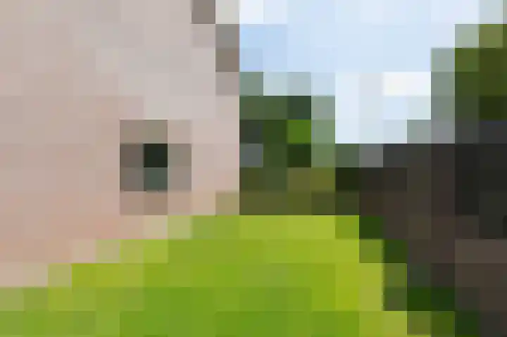IJsselsingel 98 Rheden thumbnail 37