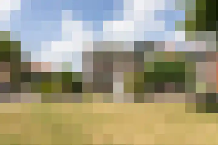 IJsselsingel 98 Rheden thumbnail 43