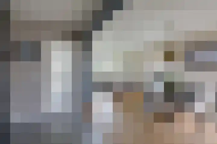 IJsselsingel 98 Rheden thumbnail 8