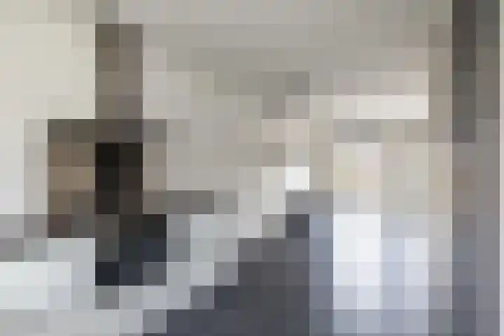 IJsselsteenhof 1 Hillegom thumbnail 12