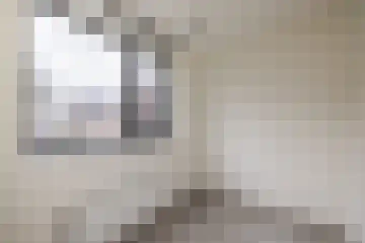 IJsselsteenhof 1 Hillegom thumbnail 22
