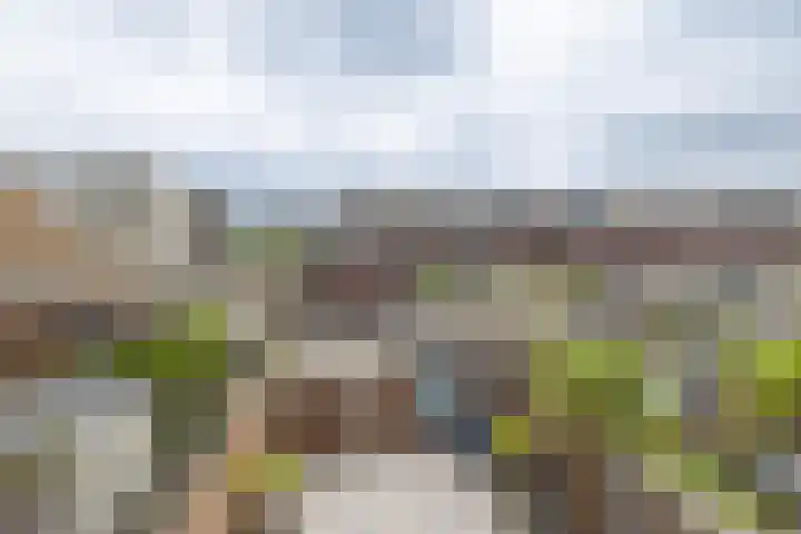 IJsselsteenhof 1 Hillegom thumbnail 26