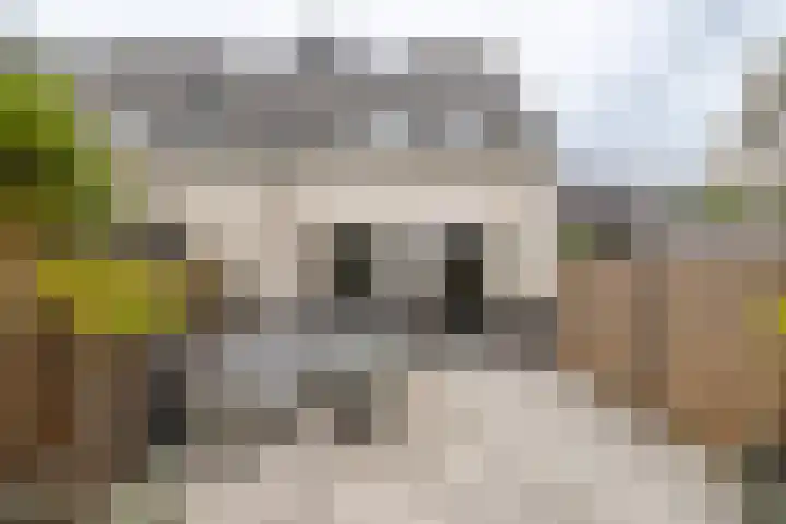 IJsselsteenhof 1 Hillegom thumbnail 30