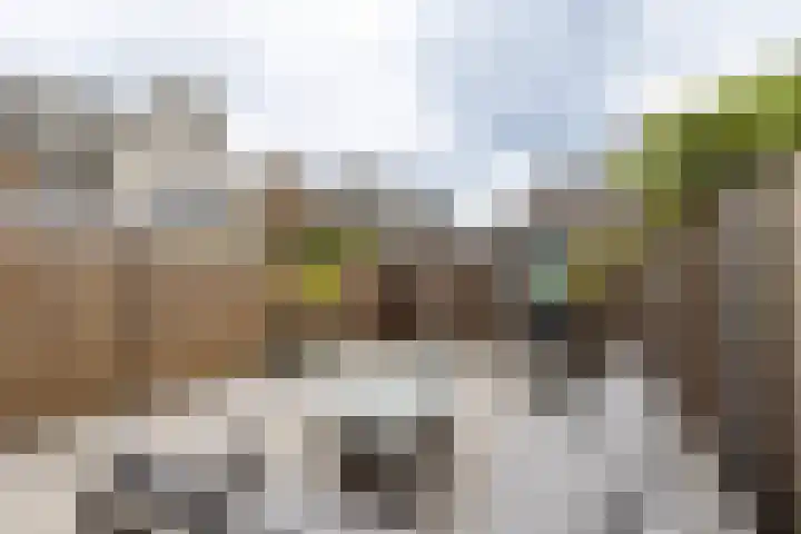 IJsselsteenhof 1 Hillegom thumbnail 31