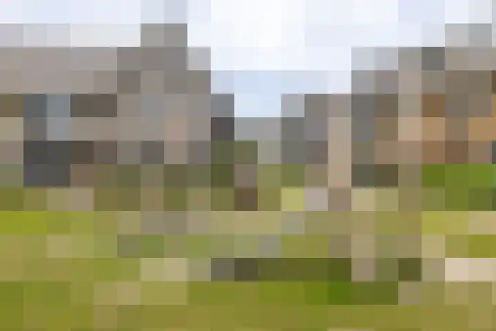 IJsselsteenhof 1 Hillegom thumbnail 35