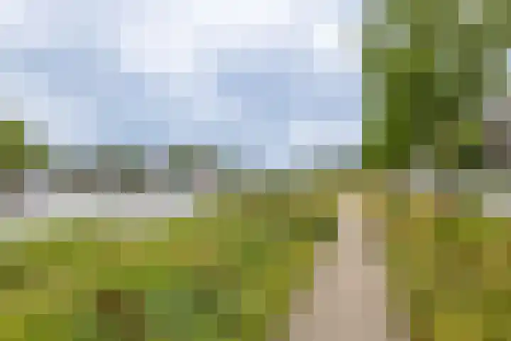 IJsselsteenhof 1 Hillegom thumbnail 36