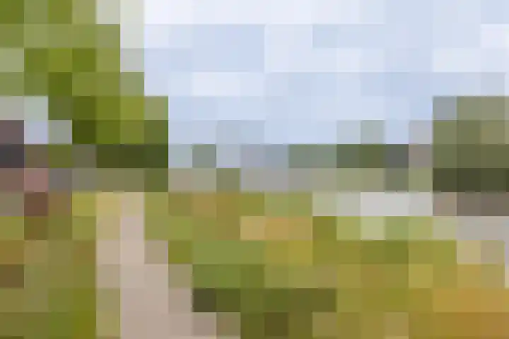 IJsselsteenhof 1 Hillegom thumbnail 37