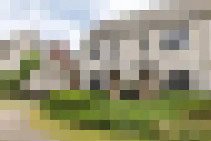 IJsselsteenhof 1 Hillegom thumbnail 5