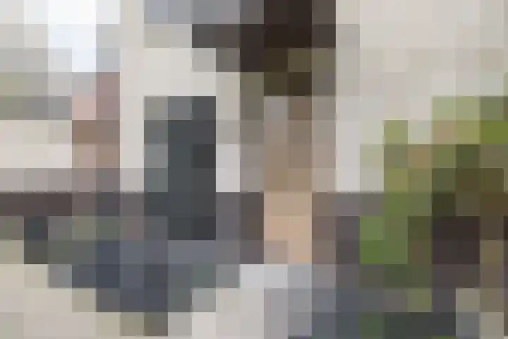 IJsselsteenhof 1 Hillegom thumbnail 6