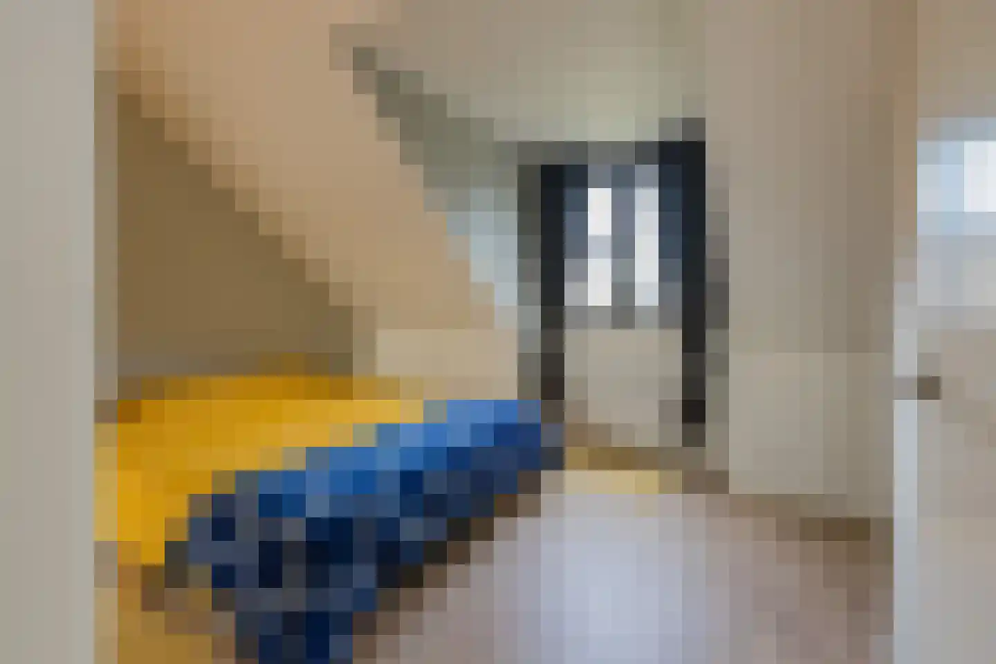 IJsselsteenhof 11 Hillegom thumbnail 38