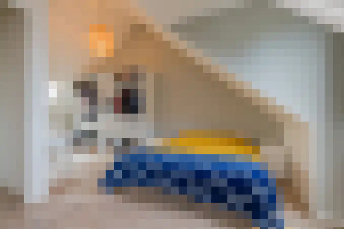 IJsselsteenhof 11 Hillegom thumbnail 39