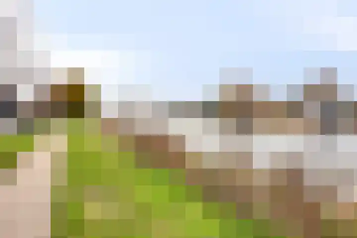 IJsselsteenhof 16 Hillegom thumbnail 31