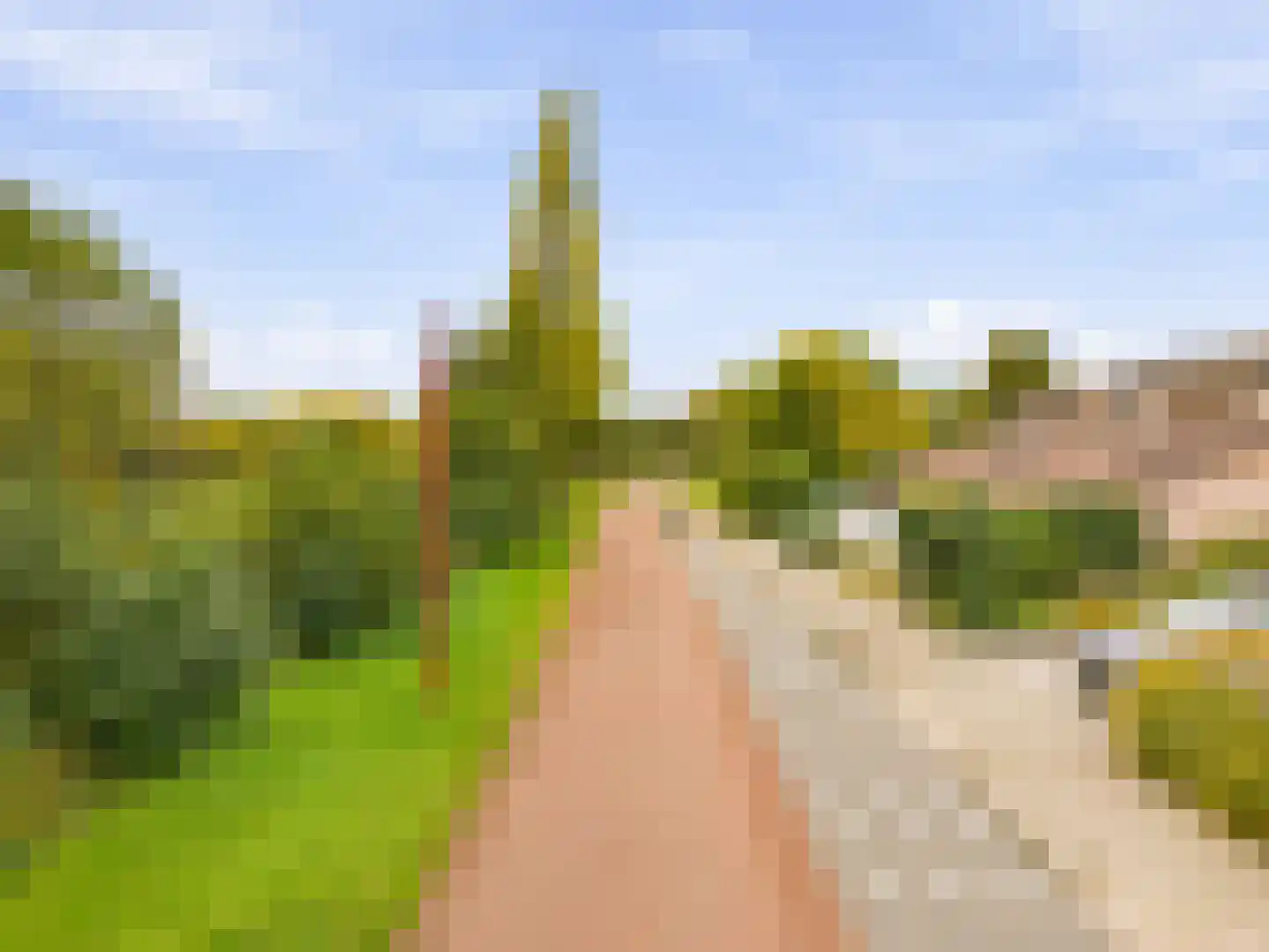 IJsselsteinseweg 114 Nieuwegein thumbnail 24