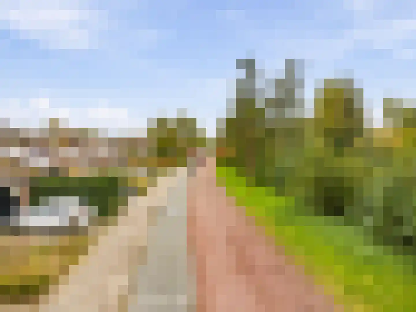 IJsselsteinseweg 114 Nieuwegein thumbnail 9