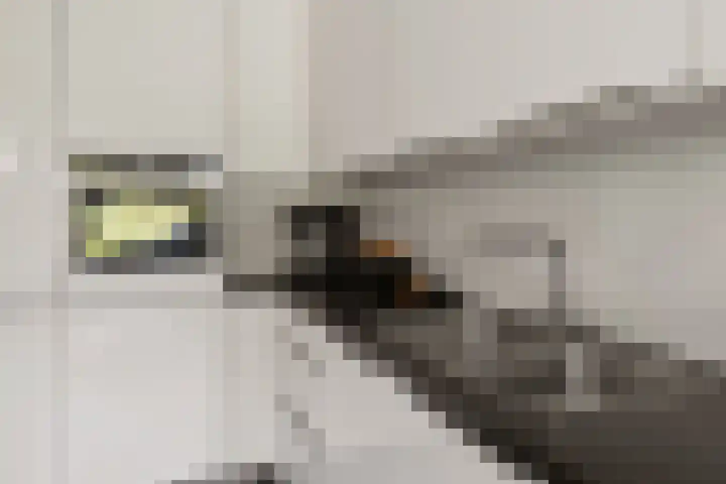 IJsselsteinseweg 54 Nieuwegein thumbnail 8