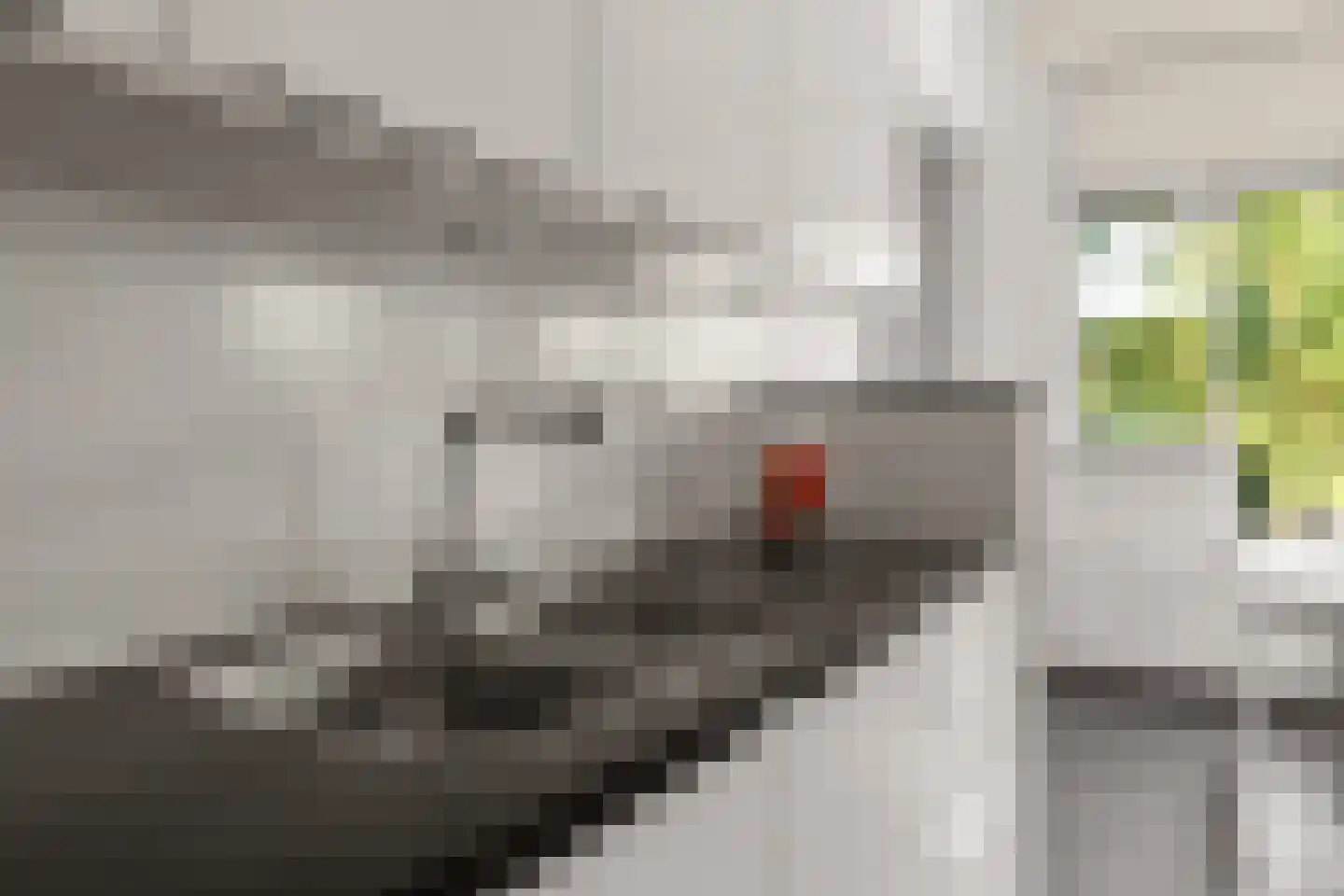 IJsselsteinseweg 54 Nieuwegein thumbnail 9