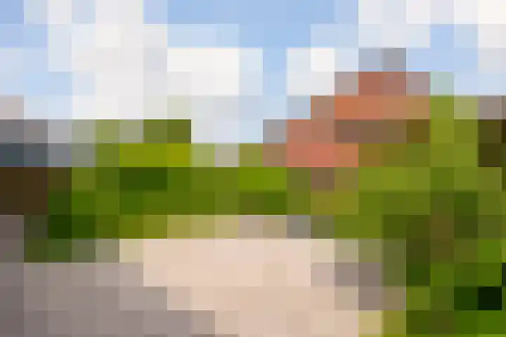 IJsselsteinseweg 86 Nieuwegein thumbnail 11