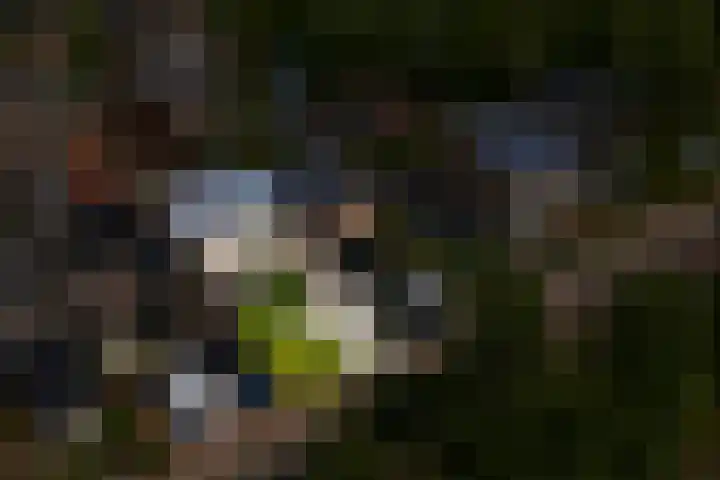 IJsselsteinseweg 86 Nieuwegein thumbnail 33