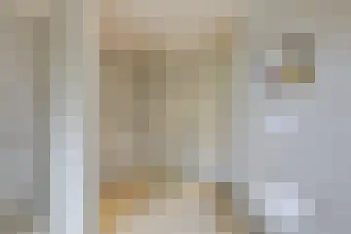 IJsselstraat 11 Velp thumbnail 18