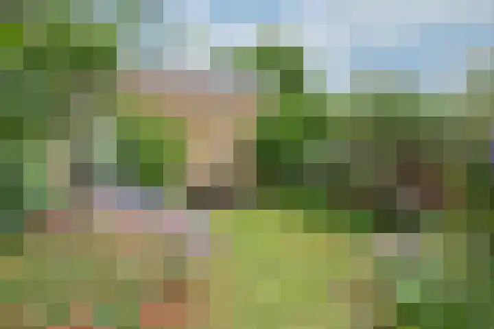 IJsselstraat 11 Velp thumbnail 24