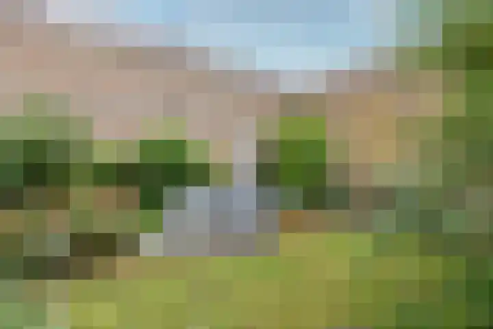 IJsselstraat 11 Velp thumbnail 25