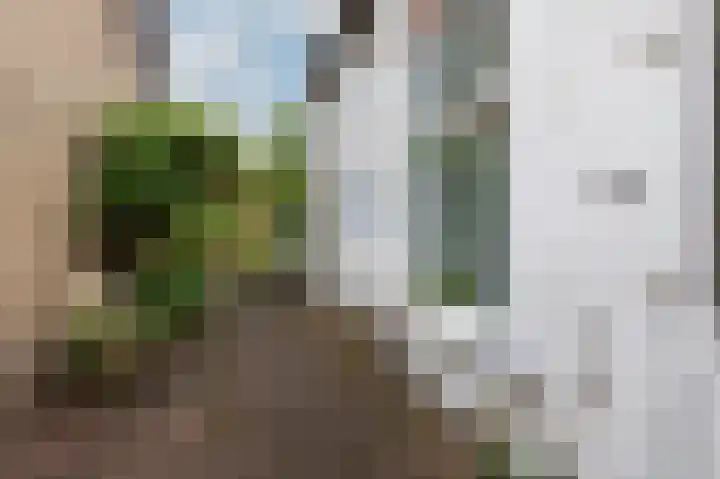 IJsselstraat 11 Velp thumbnail 27
