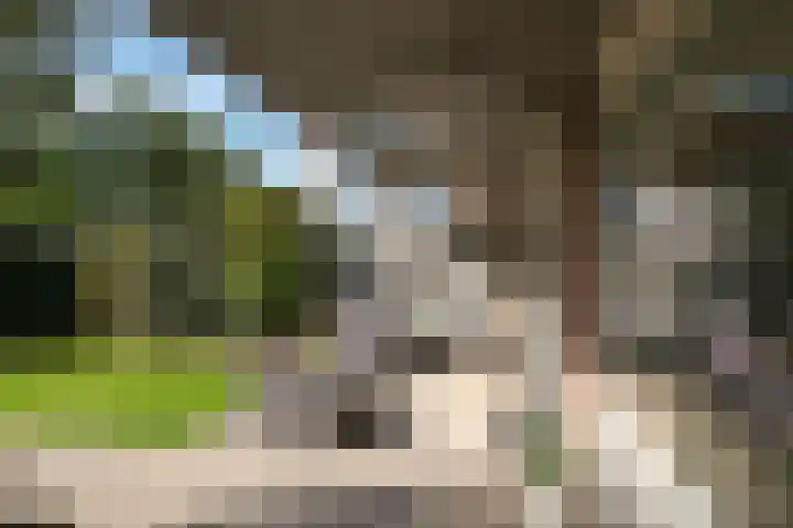 IJsselstraat 13 Almelo thumbnail 17