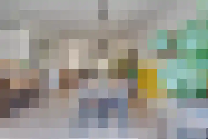 IJsselstraat 14 Eindhoven thumbnail 15