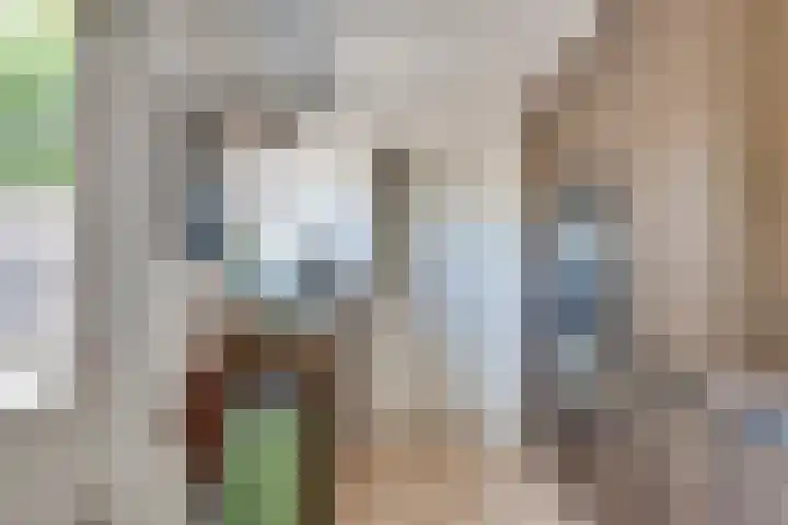 IJsselstraat 14 Eindhoven thumbnail 20