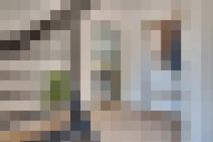 IJsselstraat 14 Eindhoven thumbnail 7