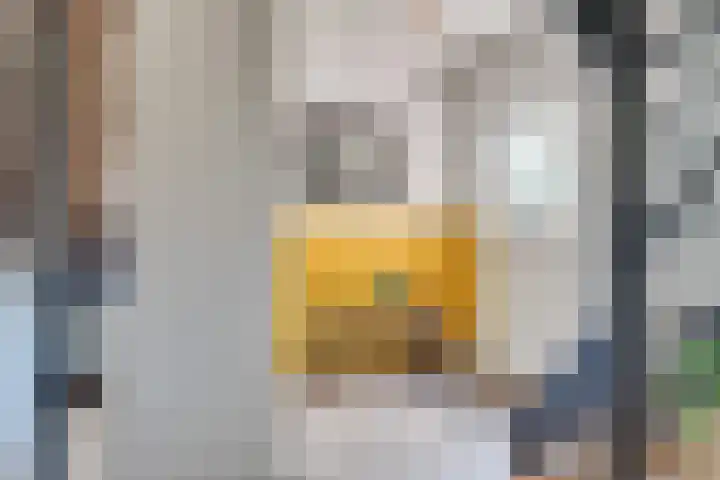 IJsselstraat 14 Eindhoven thumbnail 8