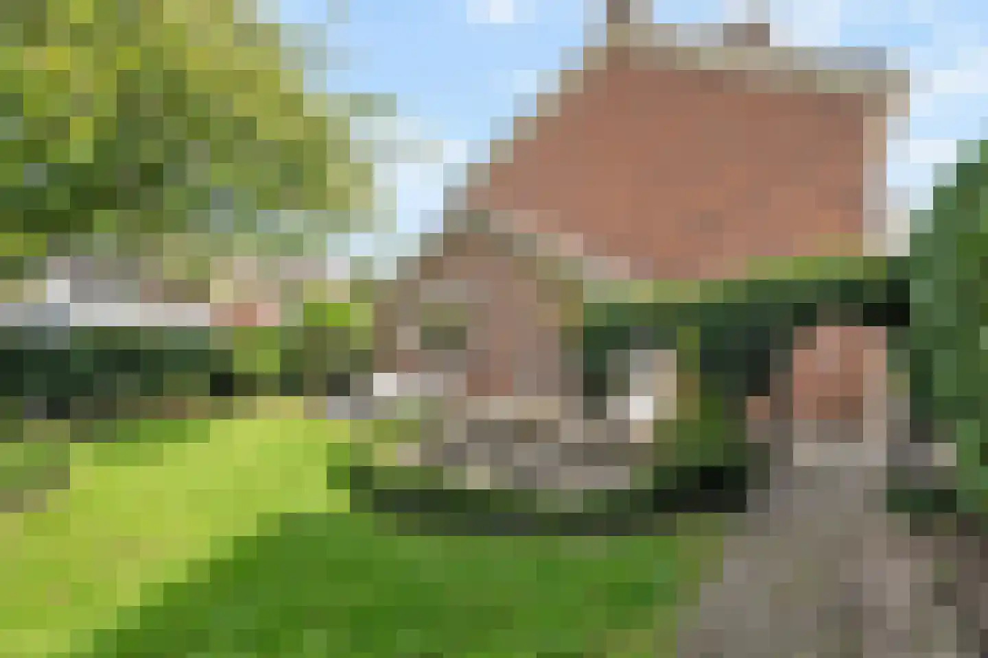 IJsselstraat 15 Barendrecht thumbnail 35