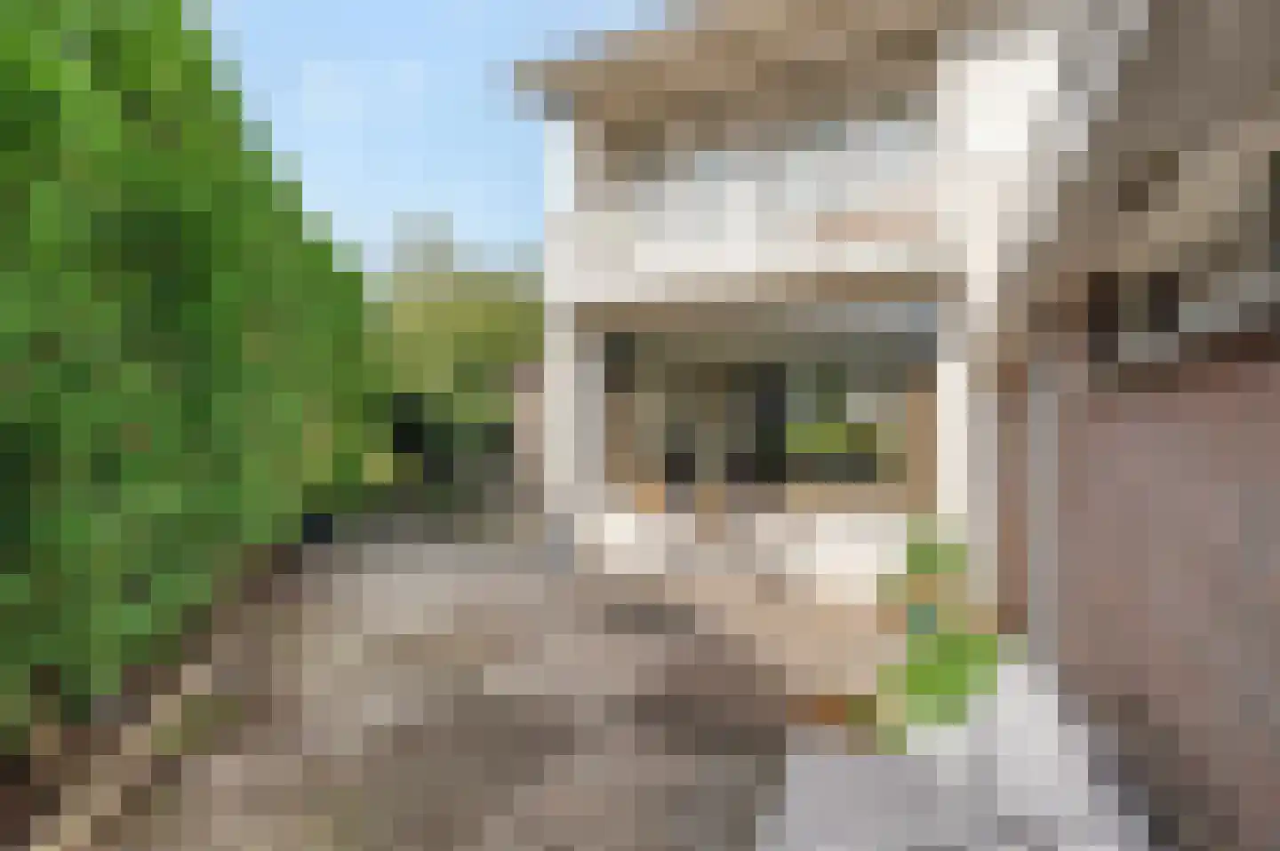 IJsselstraat 15 Barendrecht thumbnail 37