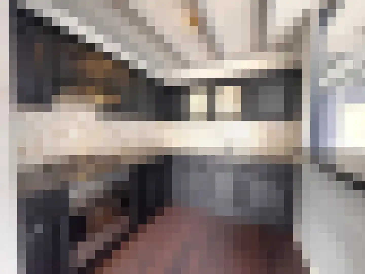 IJsselstraat 16 Terneuzen thumbnail 10
