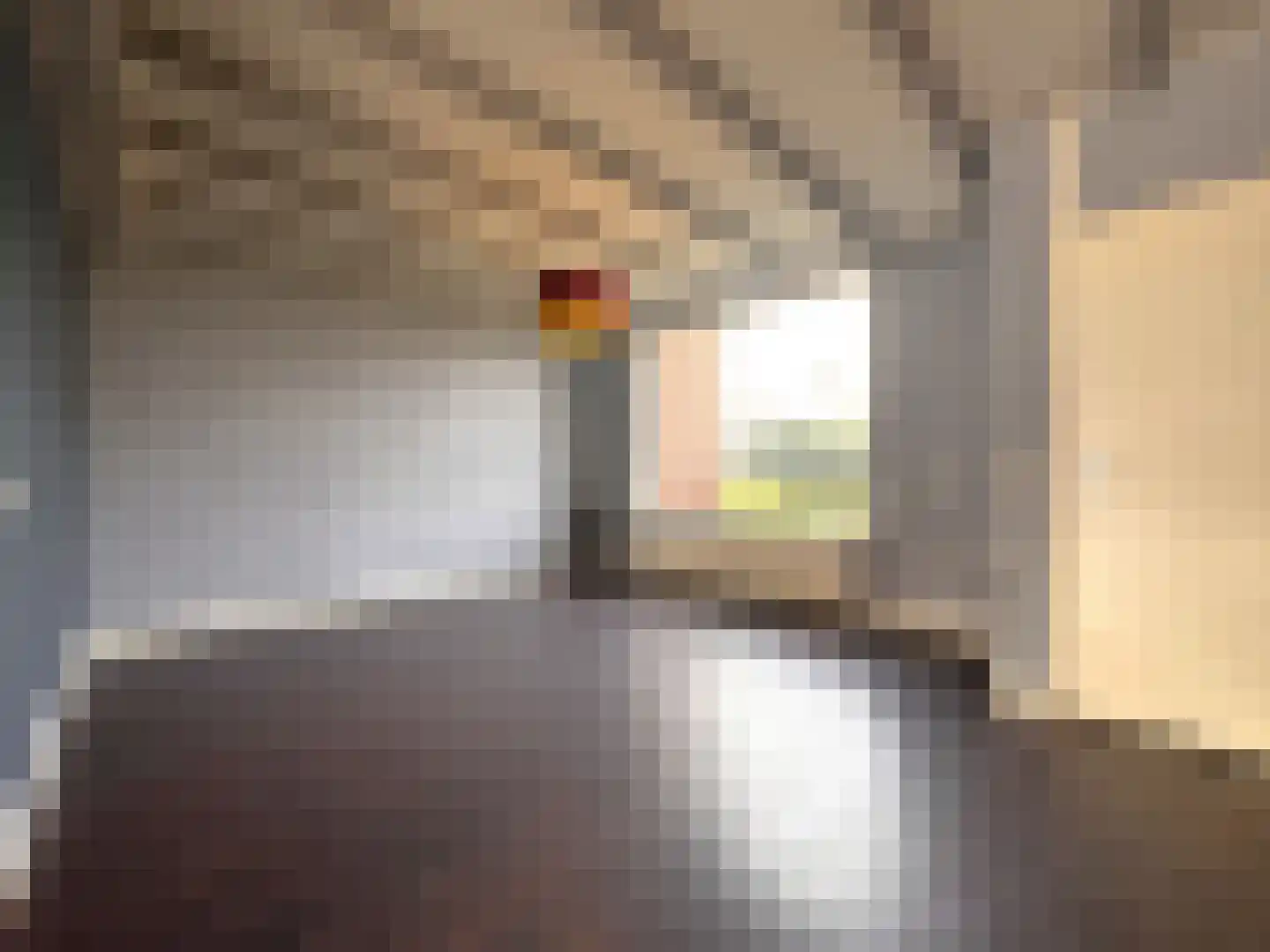 IJsselstraat 16 Terneuzen thumbnail 4