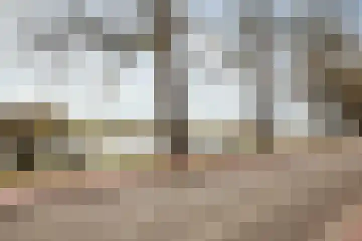IJsselstraat 20 Deventer thumbnail 30