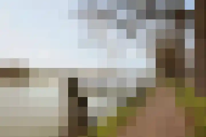 IJsselstraat 20 Deventer thumbnail 31