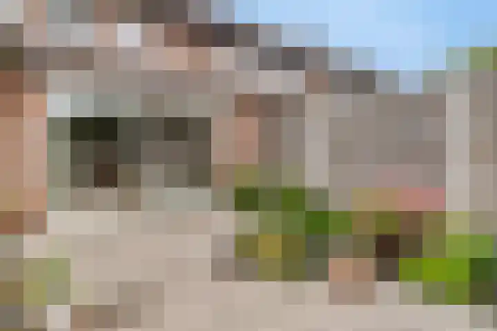 IJsselstraat 20 Terneuzen thumbnail 34