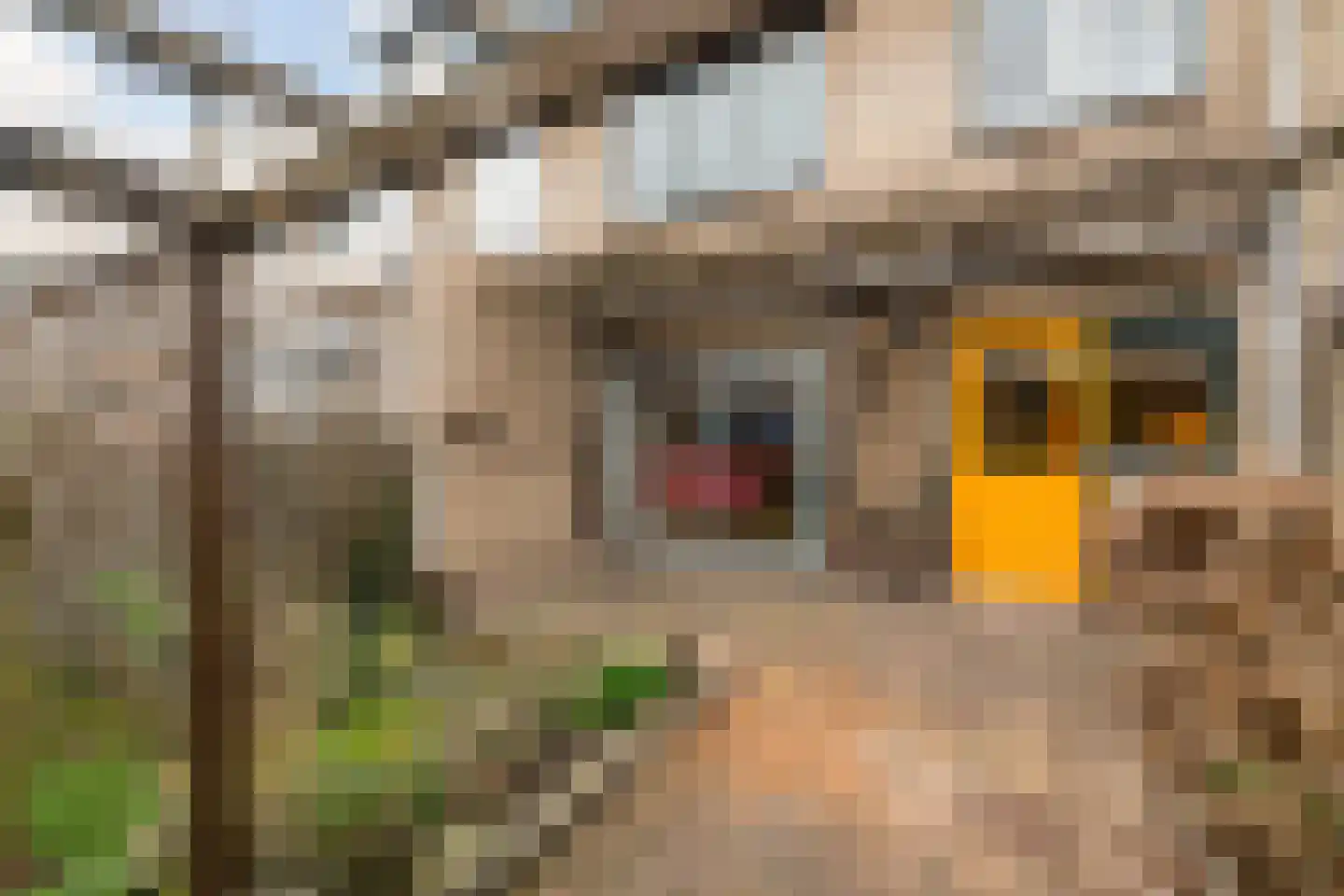 IJsselstraat 21 Alphen aan den Rijn thumbnail 29