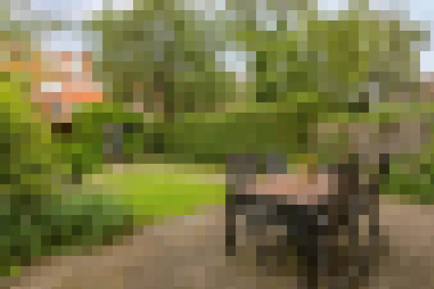 IJsselstraat 23 Groningen thumbnail 28