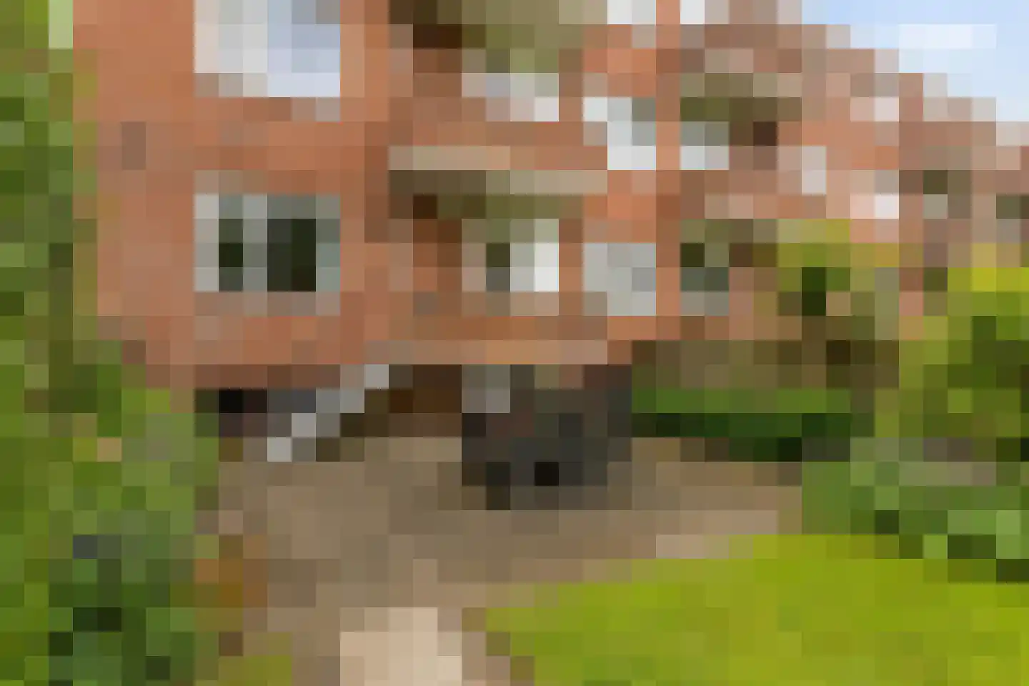 IJsselstraat 23 Groningen thumbnail 30