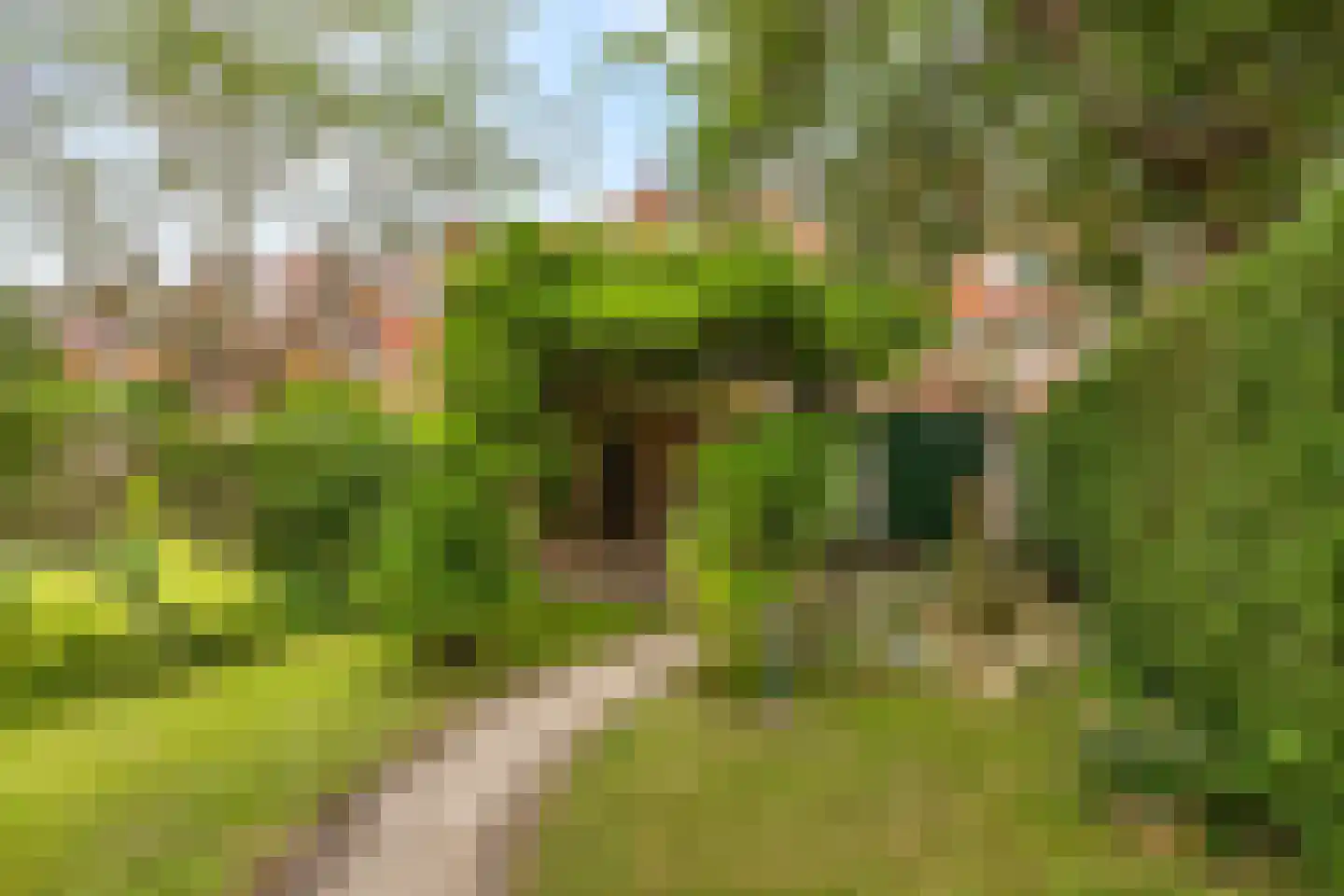IJsselstraat 23 Groningen thumbnail 31
